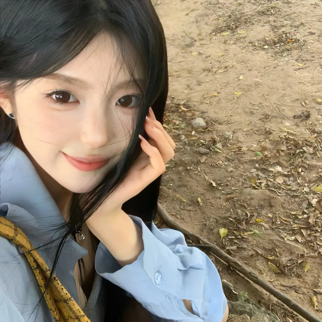 丹美的电影宇宙