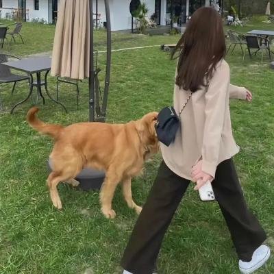 阿尼娜